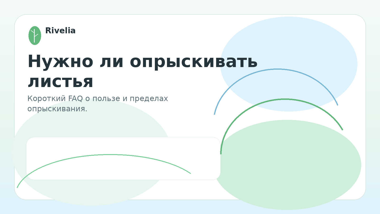 Нужно ли опрыскивать листья