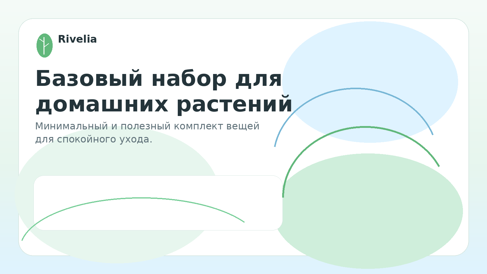 Базовый набор для домашних растений