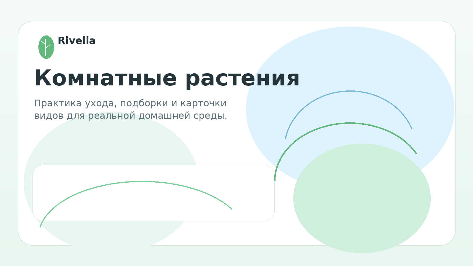 Комнатные растения