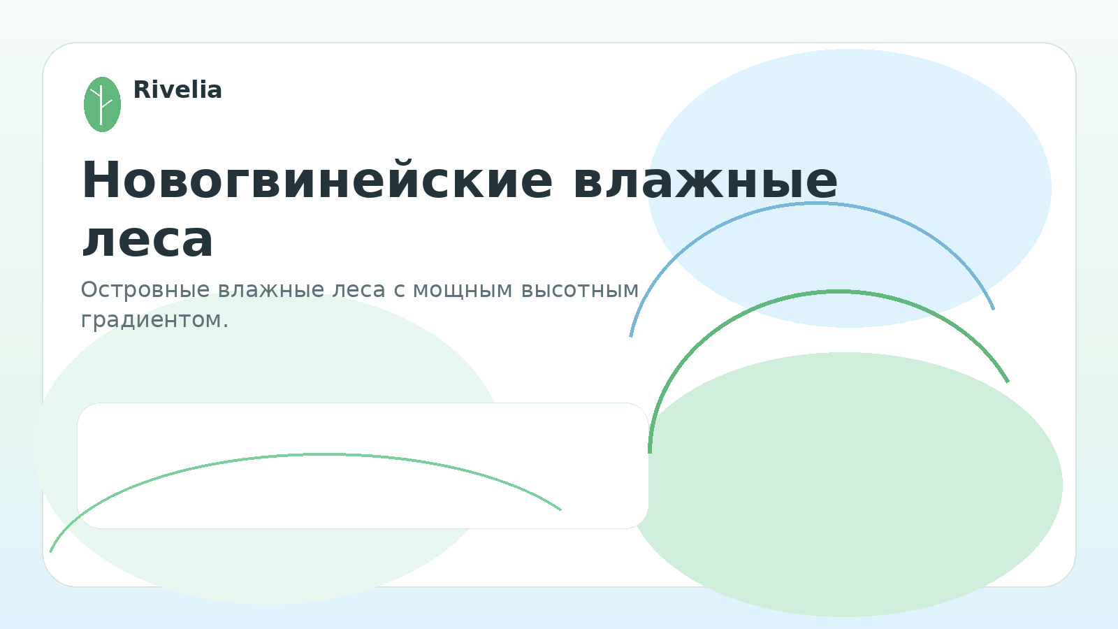 Новогвинейские влажные леса