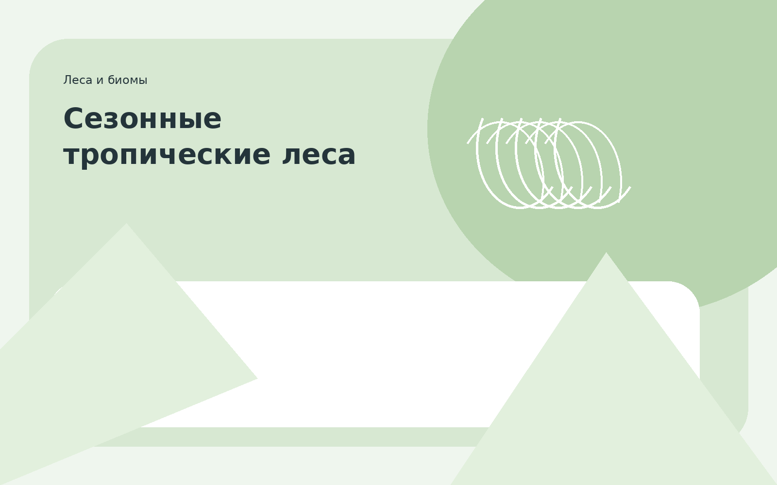 Сезонные тропические леса