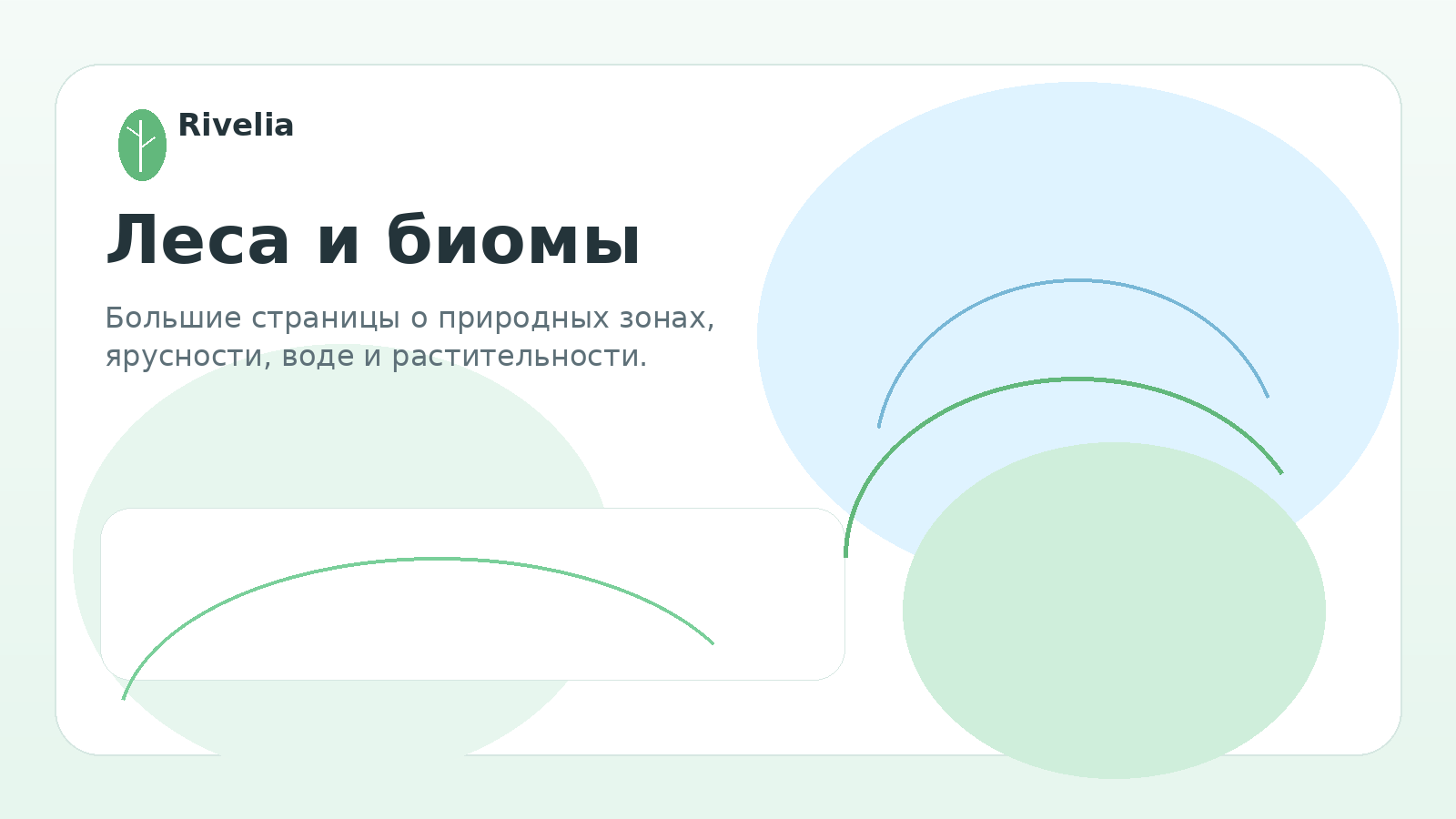 Леса и биомы