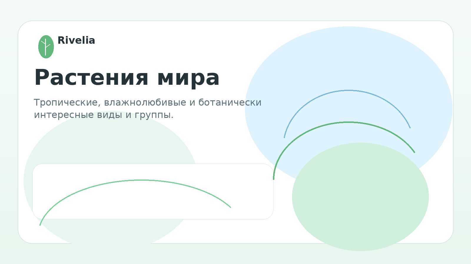 Растения мира