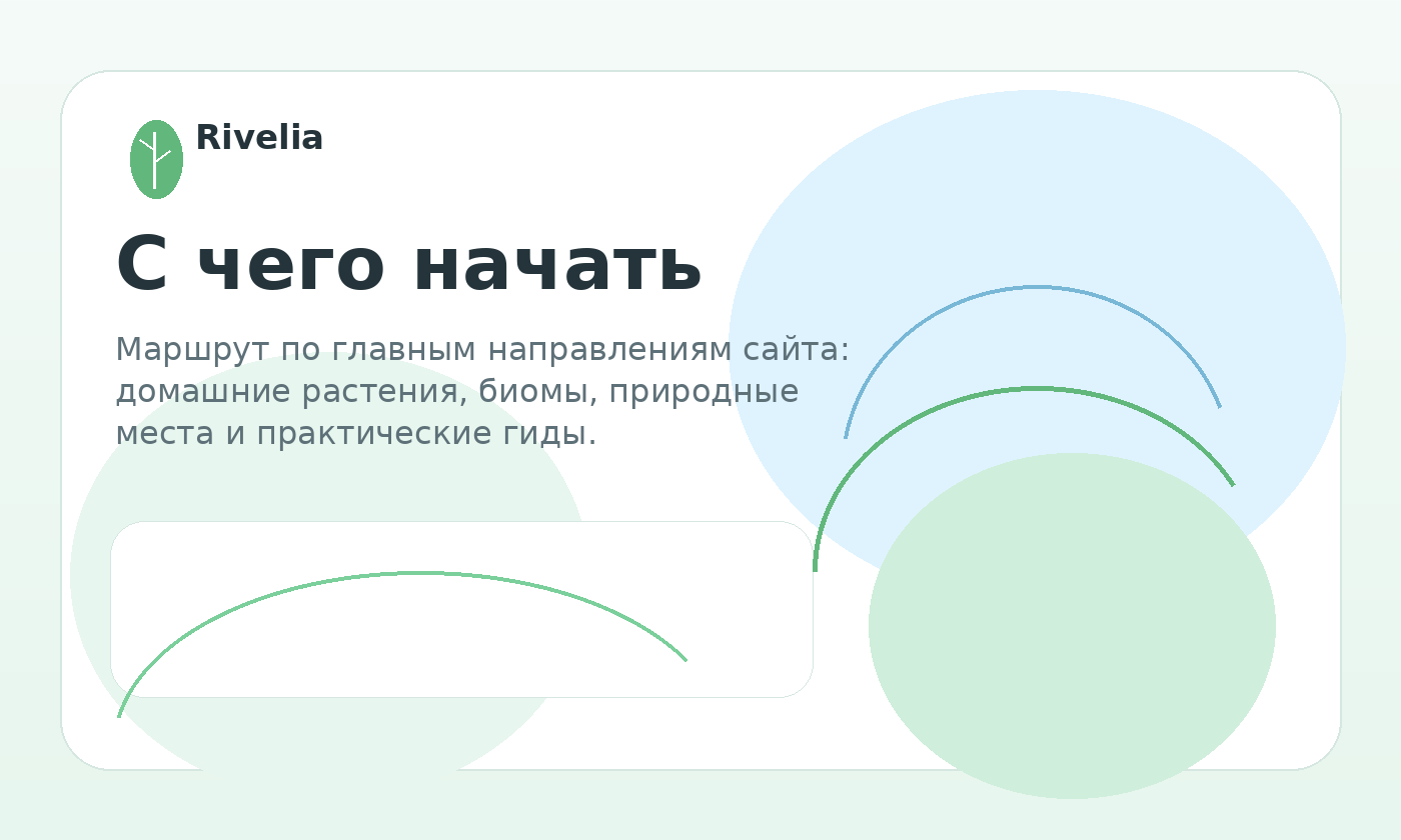 С чего начать