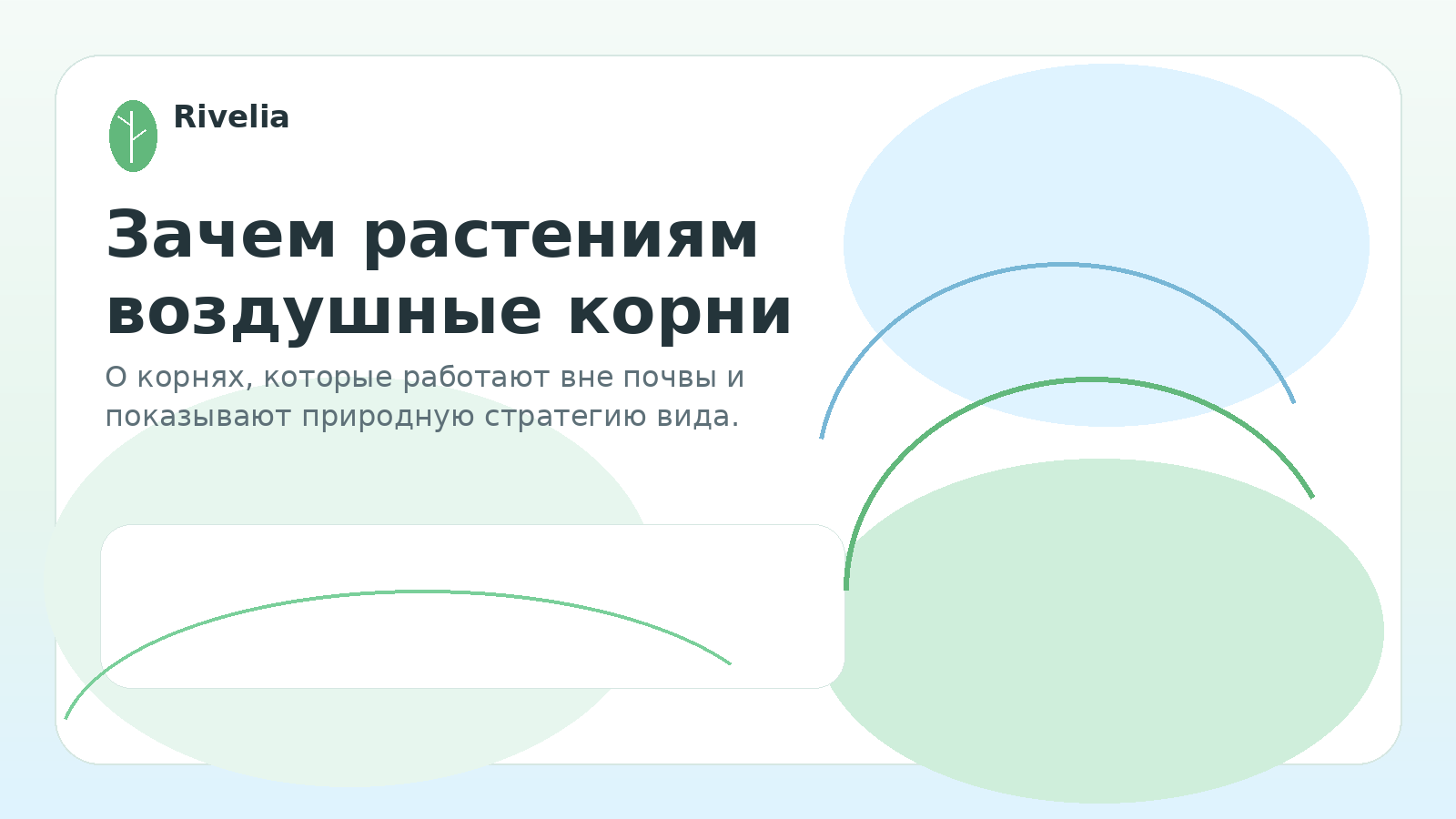 Зачем растениям воздушные корни