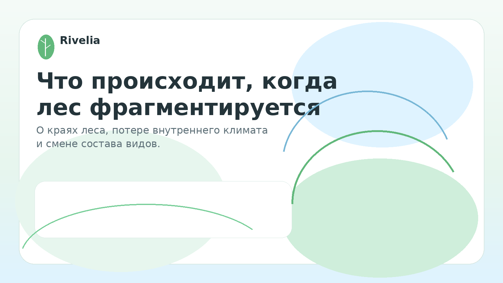 Что происходит, когда лес фрагментируется